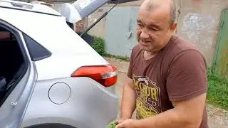 Сравнение Lada XRAY Cross и Hyundai CRETA. Честный обзор на Lada XRAY Cross и Hyundai CRETA.