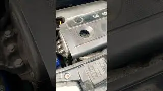 Das auto, VAG family