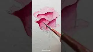 How to paint rose/watercolour rose painting for beginners/
