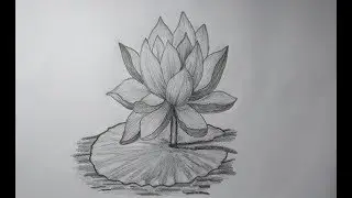 How to draw a lotus flower step by step and easy