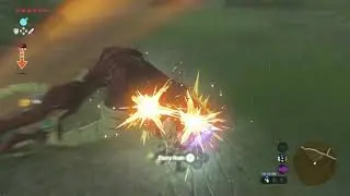 Dodging - Breath of the Wild Tips