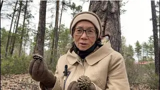 Завтра последний день соковой терапии