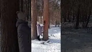 17 марта 2022 г.