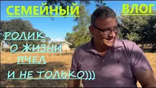 ДЛЯ ЛЮБИТЕЛЕЙ ПЧЕЛ И ВИТАЛИНЫХ ИСТОРИЙ!