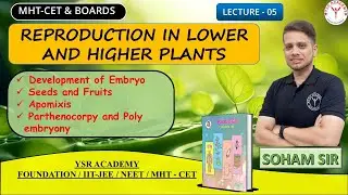 Class 12 | Reproduction in Lower and Higher Plants | #ysracademy | Maharashtra Boards