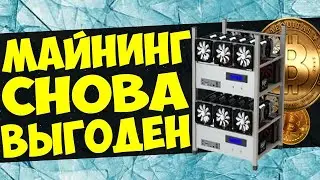 Майнить снова стало выгодно!!! Доходность в Августе 2020!!!
