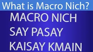 Macro Niche Blog Case Study | What is Macro Nich | Best macro Nich topics in 2020
