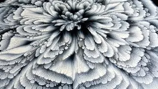 (386) BLACK & WHITE ~ CUP BOTTOM acrylic pour FLOWER painting ~ MUST SEE!!! ~ Paint 