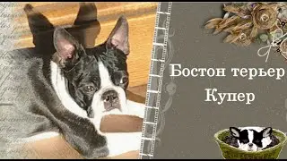 С Днем рождения Катюша