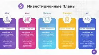 6 видов дохода в Байтекс. Деньги на автопилоте в Buytex bux