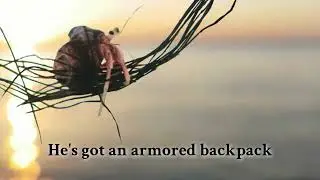 Hermit Crab - Not Like Other Crabs (Official Lyric Video)