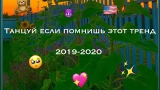 Танцуй если знаешь этот тренд 2019-2020 //Dance if you know this trend 2019-2020 🇺🇸🧸