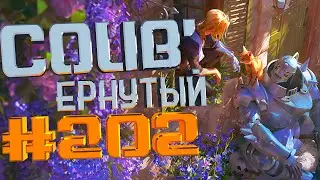 COUB 
