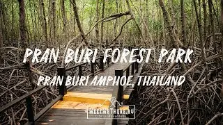 Pran Buri Forest Park