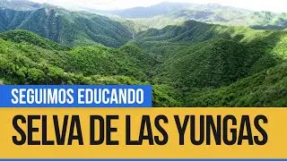Nuestro Mapa: Las yungas - Seguimos Educando
