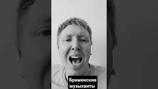 бременские музыканты ничего на свете лучше нету #guitar #музыка