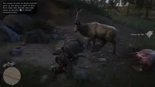 Red Dead Redemption elk hunt