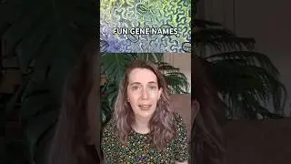 Fun gene names!