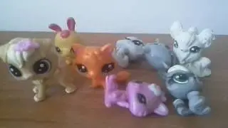Коллекция петшопов