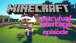 Starting a survival series || Minecraft montage || Part 1