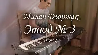 Милан Дворжак - этюд № 3, том 2 (Dvorac etude № 3, book 2).
