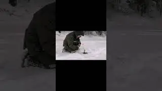 #shrots рыбалка 2024#морозы