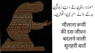 Top 10 Life Changing Quotes of Maulana Rumi. #urdu #hindi #rumi #wisdom