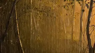 [ Try Listening for 3 Minutes ] and Sleep Instantly with Heavy Rain & Thunder in Forest at Night