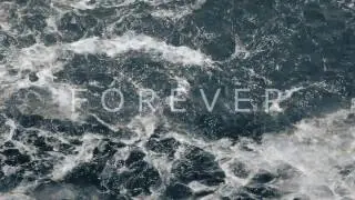 Eagle Eyed Tiger - FOREVER Music Video