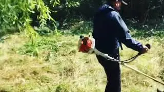 Облагораживание парка «Юность» ч1