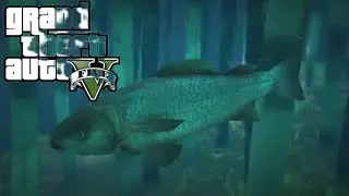 COMO VIRAR ANIMAIS AQUÁTICOS PEIXE,BALEIA,TUBARÃO NO GTA V LOCALIZAÇÃO PEIOTE