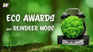 ECO Awards with Reindeer Moss - Spring Trophies Collection