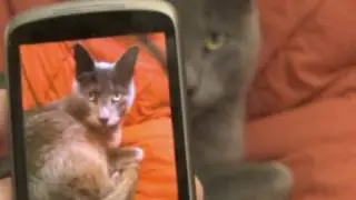 Nexus One: Google Goggles, Unboxing the LOLs