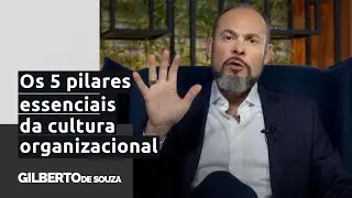 Cultura organizacional: 5 pilares que gestores precisam estruturar