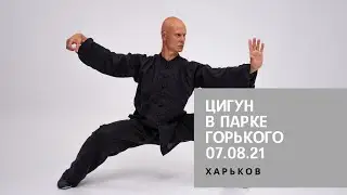 ЦИГУН против КОРОНЫ | Дыхательные практики для восстановления всех систем организма | Харьков 07.08.