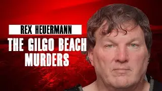 The Gilgo Beach Murders - Rex Heuermann #truecrime #crime