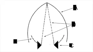 Artikulation (Linguistik)