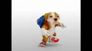 perro bailando reggaeton 10 minutos