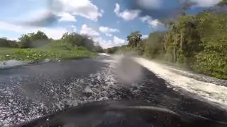 St. Johns river run