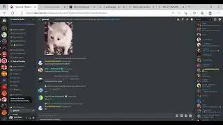Discord better explain this