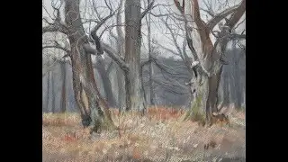 Дубы. Ноябрь