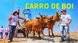 CARRO DE BOI