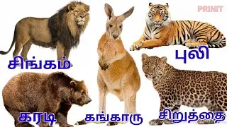 Animals name and sound / learning animals name/விலங்குகளின் பெயர்கள் மற்றும் ஓசை|@PRINIT1419