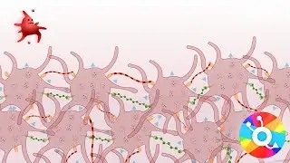 Trombocytopathie
