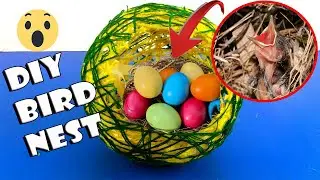 How to make Bird Nest Easily | Wool Thread Craft | Balloon Craft | Cool Craft Ideas