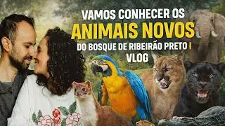 OLHA O QUE O MACACO MOSTROU PRA LUMA, QUE SAFADO !