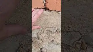 Фундамент будинку
