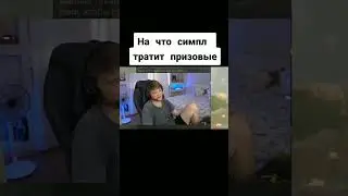 СКОЛЬКО ЗАРАБАТЫВАЕТ СИМПЛ