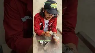 BAKAL SERING NEMUIN BARANG INI DI IKN!