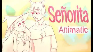 Shawn Mendes, Camila Cabello - Señorita (ANIMATIC)